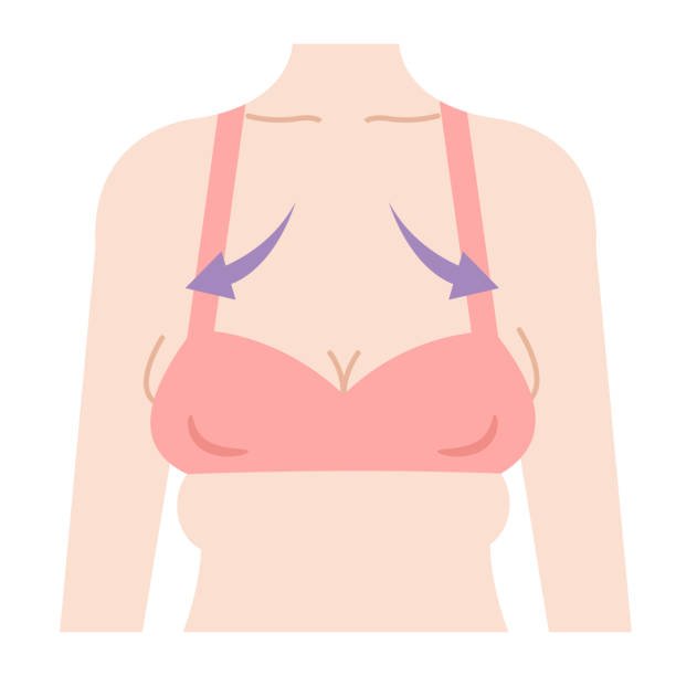 اسم الخط الفاصل بين الثديين