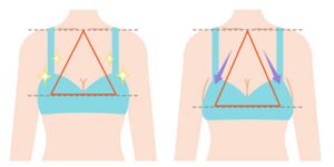 اسم الخط الفاصل بين الثديين
